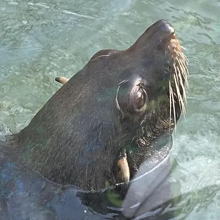 De Zonneplek * Herkingen