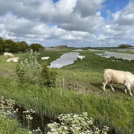 De Zonneplek Semesterbostad Herkingen