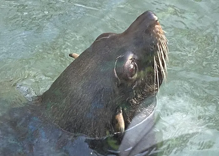 De Zonneplek * Herkingen