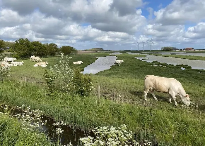 De Zonneplek Vakantiehuis Herkingen