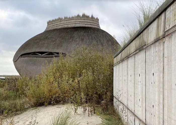 De Zonneplek * Herkingen