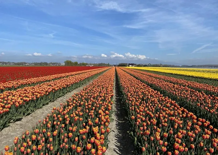 Holiday home De Zonneplek